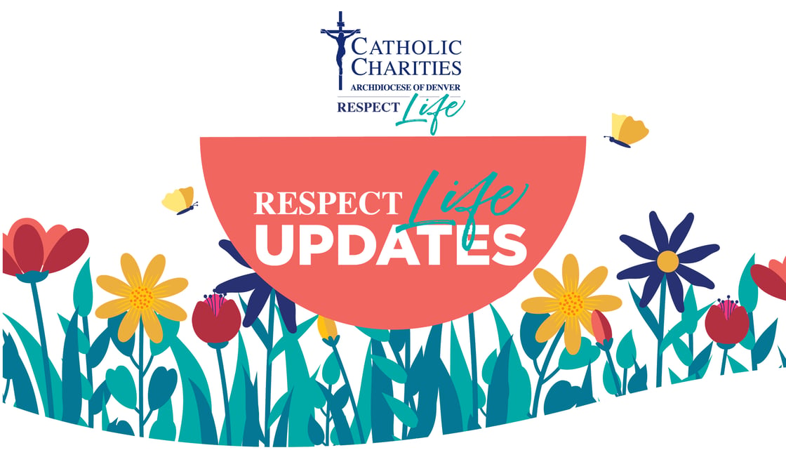 Respect Life Updates - April 2026