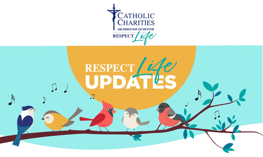 Respect Life Updates - May 2026