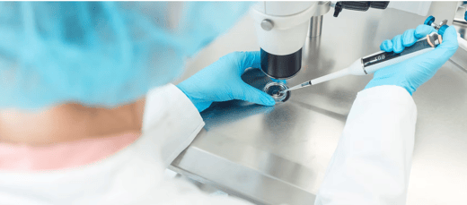 In Vitro Fertilization