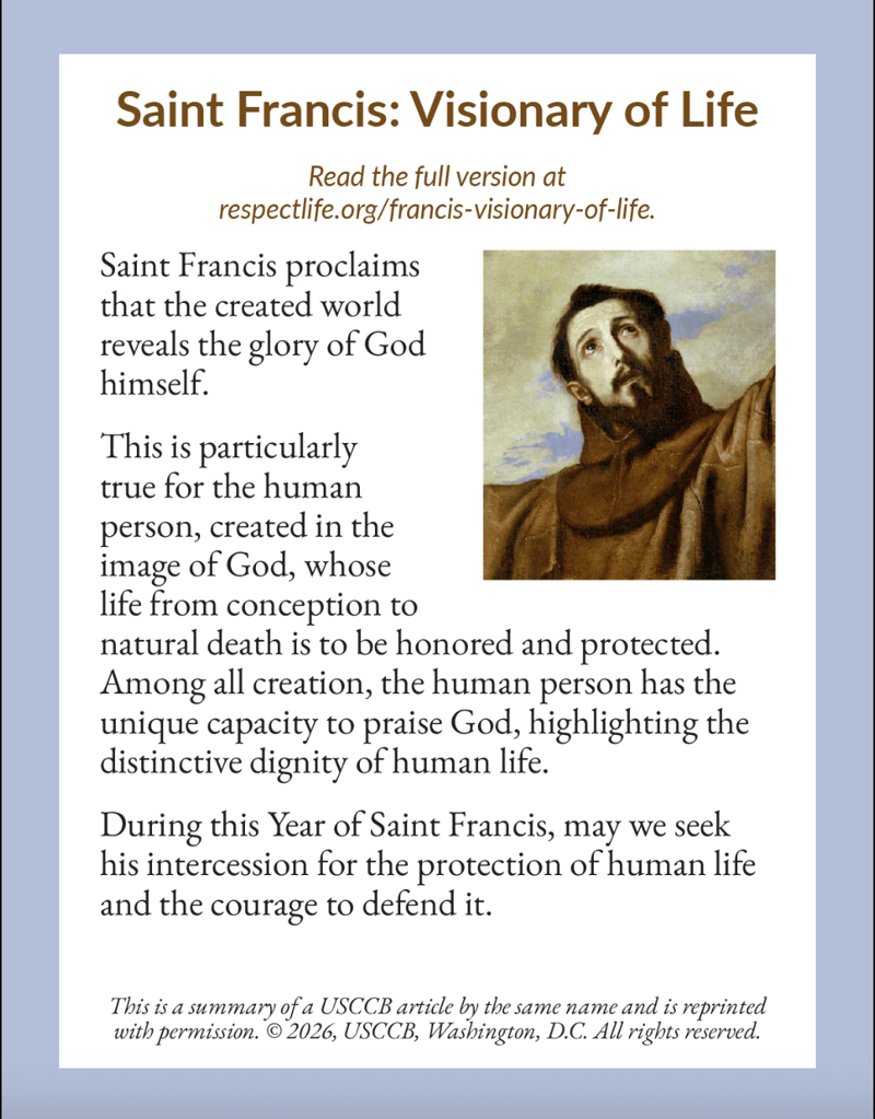 Saint Francis: Visionary of Life